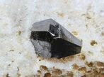 Anatase (Titanium) Crystals - Pakistan #38660-1